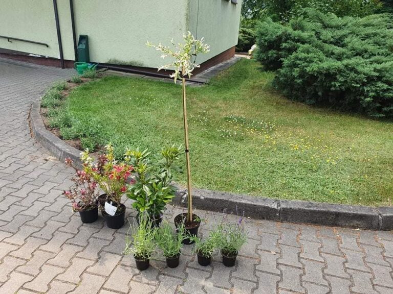 Kwiaty od  Radnej Marty Kołodziej .