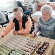 Więcej o: Kasztanowa terapia