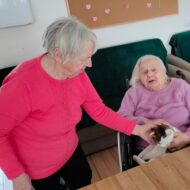 Więcej o: Dzień Kota